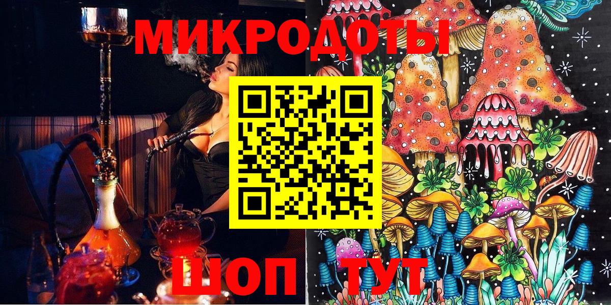 МЕФ Майкоп