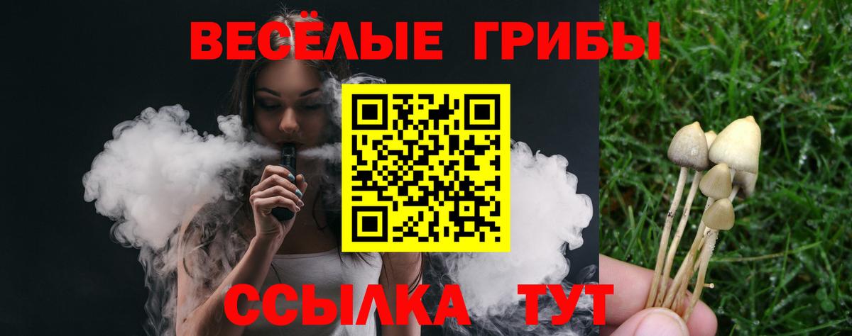Псилоцибиновые грибы Psilocybine cubensis Майкоп